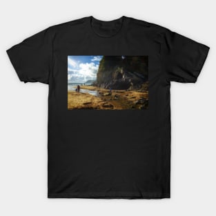 Caswell Bay T-Shirt